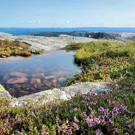 Nydelig Med Badestamp Og Sauna Lifjell