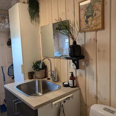 Nydelig Med Badestamp Og Sauna * Lifjell