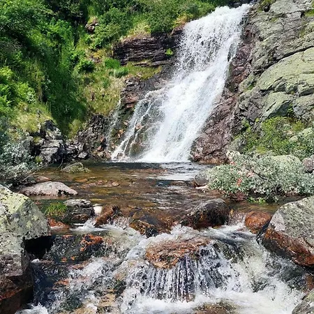 Nydelig Med Badestamp Og Sauna 펜션 Lifjell