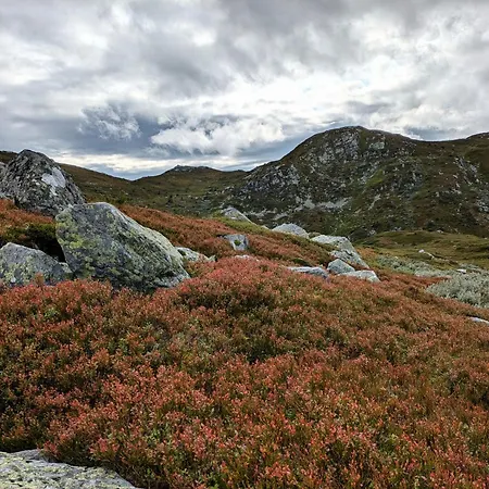 Nydelig Med Badestamp Og Sauna * Lifjell