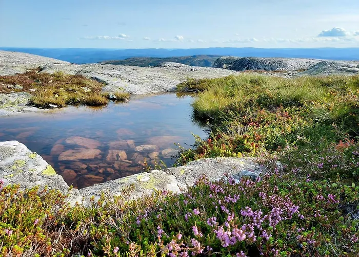 Nydelig Med Badestamp Og Sauna Lifjell
