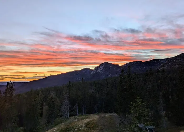 Nydelig Med Badestamp Og Sauna Lifjell