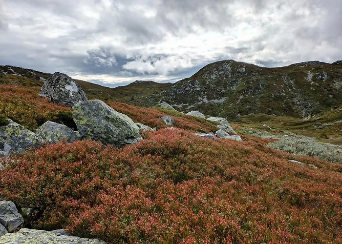 Nydelig Med Badestamp Og Sauna * Lifjell